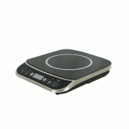 Plaque induction 2000w l293 7020.0125 COMBISTEEL_1
