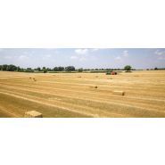 Sb 890 optifeed - presse à balle carré - kuhn - hauteur de balle (cm) 90_1