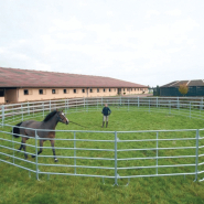 Rond de Longe Galvanisé - Solide, Modulable et Déplaçable - RDLONGE_1