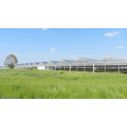 Serre photovoltaïque à faîtage droit et double pente - Multisunart_1