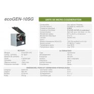 Ecogen-10SG - Unité de cogénération Cogengreen - Puissance électrique de 9,9 kW_1