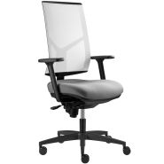 T4.1 RL - Chaise de bureau ergonomique Tergon - Hauteur d'assise réglable 42 à 54 cm avec système TwinComfort_1