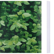 Vidaxl écran d'intimité de jardin pvc 35x0,19 m vert 147849_1