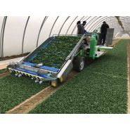 Récolteuse Slide Valeriana Eco - Hortech SRL - électrique pour mâche - puissance tracteur 30 kW_1