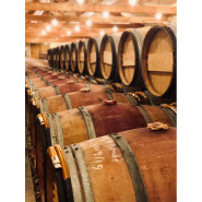 Cloche industrielle étanche 100W - Éclairage spécifique viticole - IP65 - VITIK - Anti UV, anti goût lumière, spectre protecteur_1