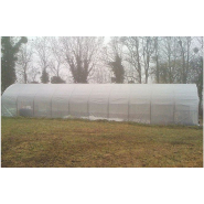 Serre professionnelle avec armature triangulée et tubes surdimensionnés