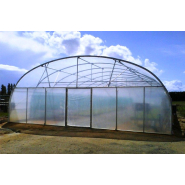 Serre tunnel 10 m de long avec arceaux en acier galvanisé
