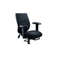 Fauteuil de bureau ergonomique GeoCentric - dossier surdimensionné - réglages personnalisables - ErgoCentric_1