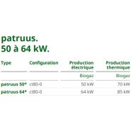 Patruus - Groupe électrogène industriel 50 à 64 kW - 2G Énergie SAS - Technologie robuste et modulaire_1