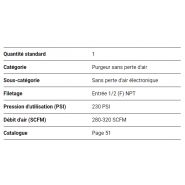 Purgeur automatique sans perte d'air - Topring - débit d'air 280-320 SCFM - modèle 59.232_1