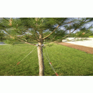 Système de haubanage pour arbres - 10/12 à 18/20 cm de diamètre - Longueur de 2 à 4 m_1