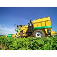 Arracheuse oxbo 2475 - oxbocorp - longueur sans tête 9.2 m - largeur 3.43 m_1