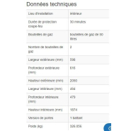 117001W - Armoire coupe-feu G30.6 pour bouteilles de gaz - 2 bouteilles 50L - Norme EN 14470-2_1