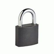 Cadenas à clé en fer - largeur 50 mm - bon niveau de sécurité - double ancrage_1