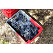 Bac bicolore fruits et viandes - gerbable et emboitable - 60L - Allibert SN106005AE_1