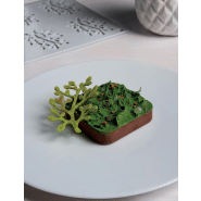 Bonsai - Moule en silicone Gourmand Horeca Pavoni Italia - 8 empreintes_1