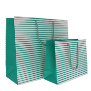 Sac papier bicolore turquoise et blanc 25+10x20cm - par 12_1