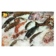 Machine de production de glace écailles - Capacité 200 kg par 24 heures - RÉF. TST01-ET_1