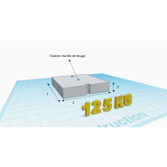 Masse 125 kg pour essai de palans et ponts roulants - 600 x 600 x 160mm - VGP - REF2220125_1