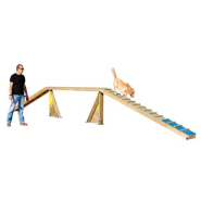 Passerelle edu can agility parcours canin_1
