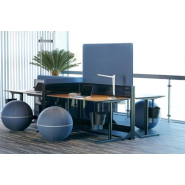 Cloison réglable en hauteur RISING - Verre fumé - L160 - Référence 8031 FR147_1