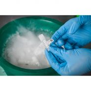 Bmp51 et bmp53 - etiquettes médicales et pharmaceutiques - brady - en polyester ultra-fin_1