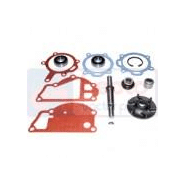 Kit de réparation pompe à eau - référence PT-131-8 - JAG99-0253 - compatible avec DEUTZ FAHR (DF) 2506, 3006, 3006F, 2807, 3607F, DX36_1