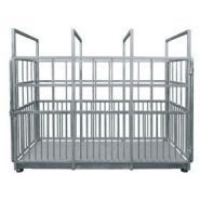 Wp-212-0005 - Balance animaux Radwag - Capacité 2000kg - Précision 1kg - Terminal PUE C/31H_1