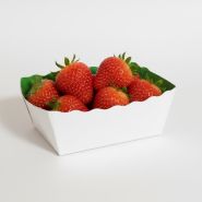 Barquette Carton Vert/Blanc 250g - Sans Impression - Lot de 500_1