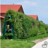 Écran acoustique conçu pour la réduction du bruit en environnement urbain