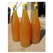 Unité de production de jus de fruits tropicaux compacte - 50 litres par heure - RÉF RNK03-ET_1