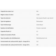 Groupe électrogène haute performance pour tension 230V