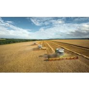 Moissonneuse-batteuse CLAAS Lexion 780-740 - Trémie 12800L - APS Hybrid System_1