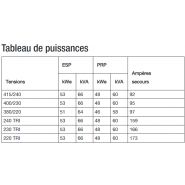 J66 - Groupe électrogène industriel SDMO - Tension 400/230V - Moteur John Deere - Type 4045TSG20_1