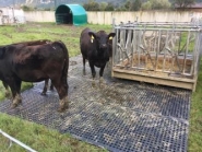 Raster dalle de stabilisation - Agriest Élevage - préventive pour sols boueux_1