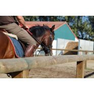 Square Safety - Clôture de carrière pour chevaux - De Sutter Naturally - Hauteur 0,75m - Pin traité en autoclave_1