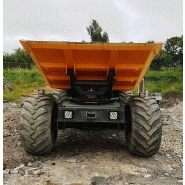 Dumper girabenne 2090 bergmann_1