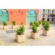 Jardinières carrées en béton_1