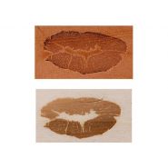 Posta Perma Marque à Chaud - Royalposthumus - 30x20mm - 60W_1