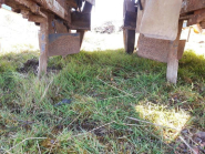 Planteuse maraichère / légumière NC à carrousel - En occasion_1