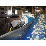 TM 138 - Tambours moteurs Powertrans - vitesse de 0.009 m/s à 2.8 m/s - moteur bi-vitesse et étanchéité IP66/IP68_1