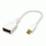 ROLINE Adaptateur DisplayPort, Mini DP M - DP F, 0,15 m_1