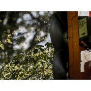 Lamier Lineo avec lames de scie de 700 mm pour élagage professionnel