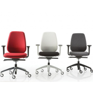 Siège Ergonomique PRATICA - Ref : 4PRGI24_1