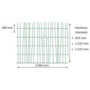 Panneau de clôture Exotic avec extrémités défensives de 25 mm