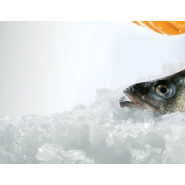 Machine à glace écaille sans réservoir Brema - 250kg/24h - Référence BREC 250_1