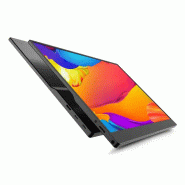 Urban Factory PUM15UF téléviseur et moniteur portables Moniteur portable Noir 39,6 cm (15.6