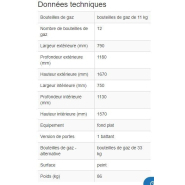 137112W - Armoire pour bouteilles de gaz GF 8.16 - acier robuste et protection anticorrosion_1