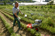 Herses rotatives Agria 3100, outil fiable pour pentes jusqu'à 20°