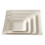 Assiette carrée Imagine 160x160mm pulpe de canne - par 10_1